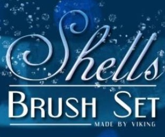 Shell Brushes