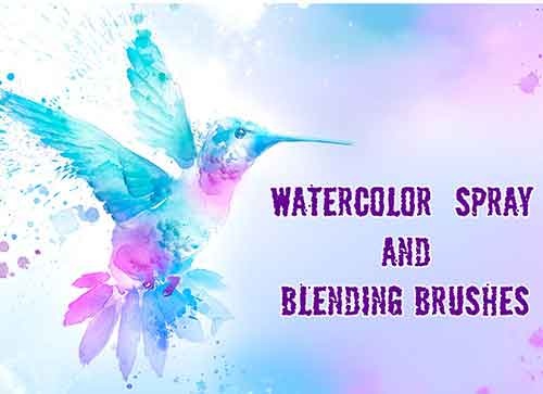 Watercolor Spray Brushes