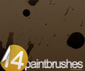 14 Paint Brushes