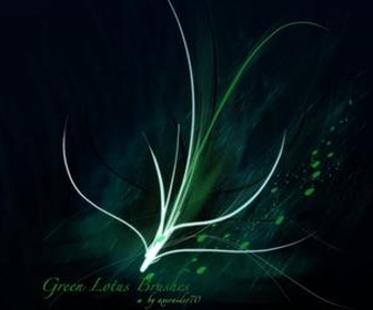 Green Lotus Brushes