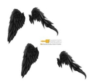 Broken Wings Blackbird