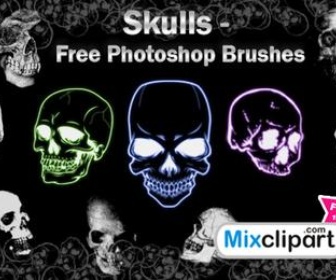 Skulls Brushes