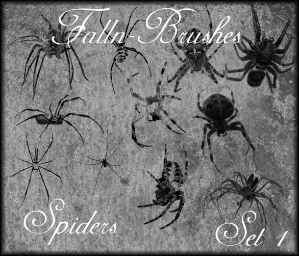 Spider Brushes Set 1