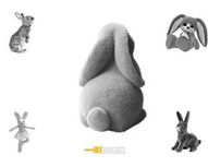 Bunny Delight