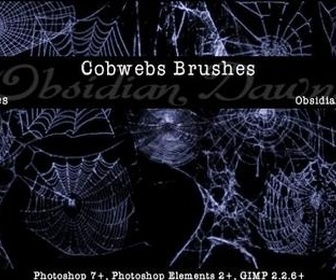 Cobwebs Brushes