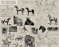 Vintage Horse Collection