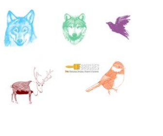 Winter Animals