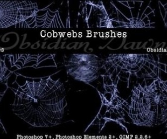 Cobwebs Brushes