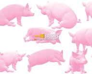 Little Piggy