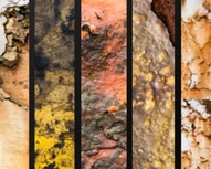 Awesome Rust Textures