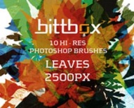 Brushes – Leaves
