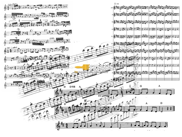 Musical Notes