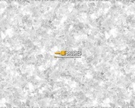 Snow Zone