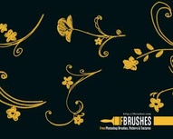 Chalc Floral