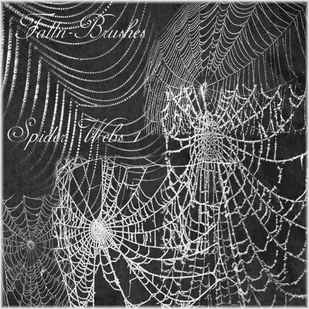 Spider Web Brushes