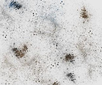 Mini Splatters