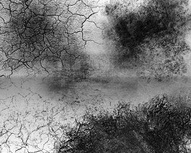 Cracked Grunge