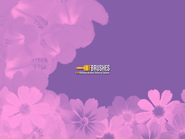 Border Flowers