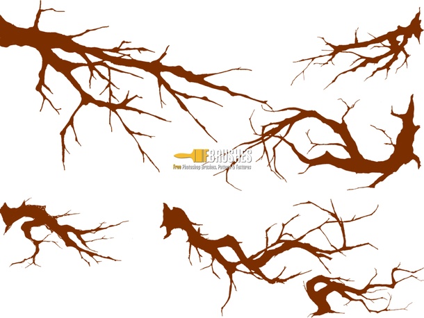Angry Branches