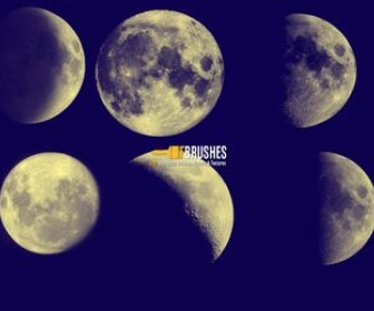 Blue Moon