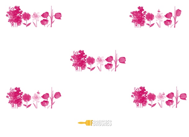 Spring Flowers Blooming