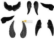 Feathered Wings