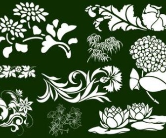 Flowers Collection