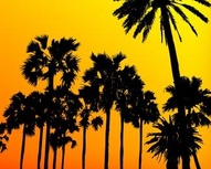 9 Palm Tree Brushes