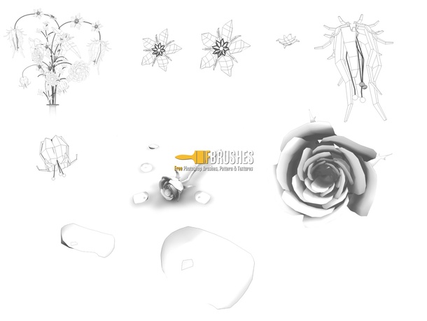 3D Flowers