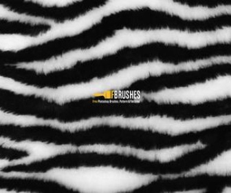 Free Photoshop Brushes - Fur | Fbrushes Free Photoshop Brushes - Fur | Fbrushes