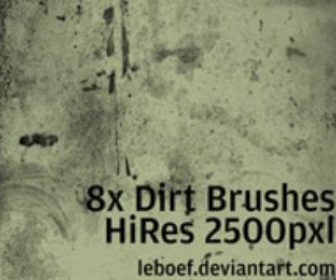 Dirt Brush Set