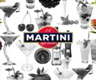 14 martini style brushes