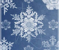 snowflake brushes