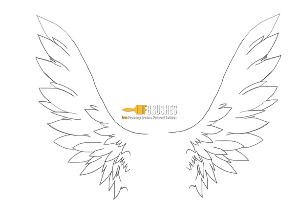 Drawn Angel Wings