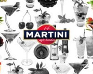 14 martini style brushes