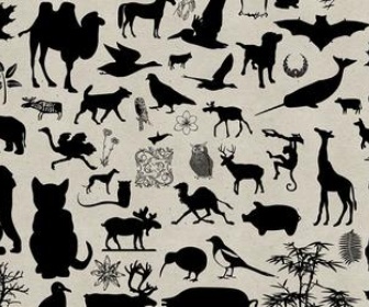 Plants and Animals Collection