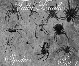 Spider Brushes Set 1