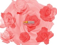 Roses Are Red