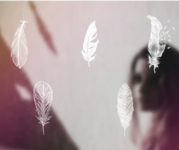 Feather Brush