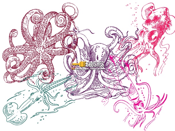 Sea Monsters