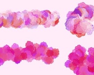 Rose Brushes Set