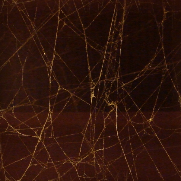 Seamless Spiderweb