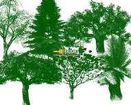 Green Trees