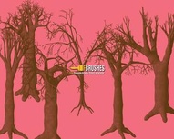 Leafless Trees