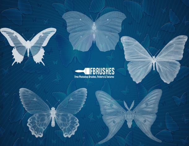 Butterflies Pack