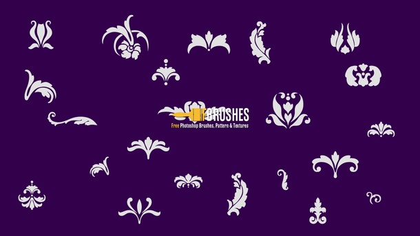 Ornamental Flourish