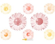 Jeweled Daisies