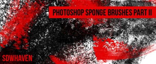 Sponge Brushes