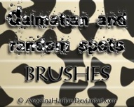 Dalmatian Spot Brushes