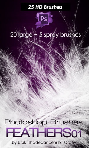 HD Feather Brushes